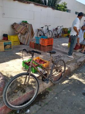 Dahmani's bikes