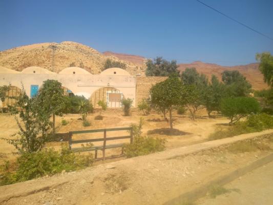 The galea sourrounded by trees in front of mountain hills