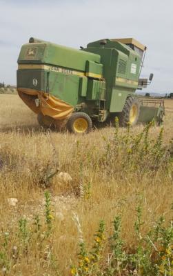 Harvesting crops